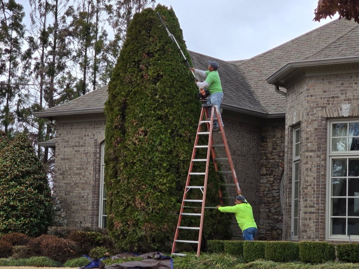 Romero Landscaping